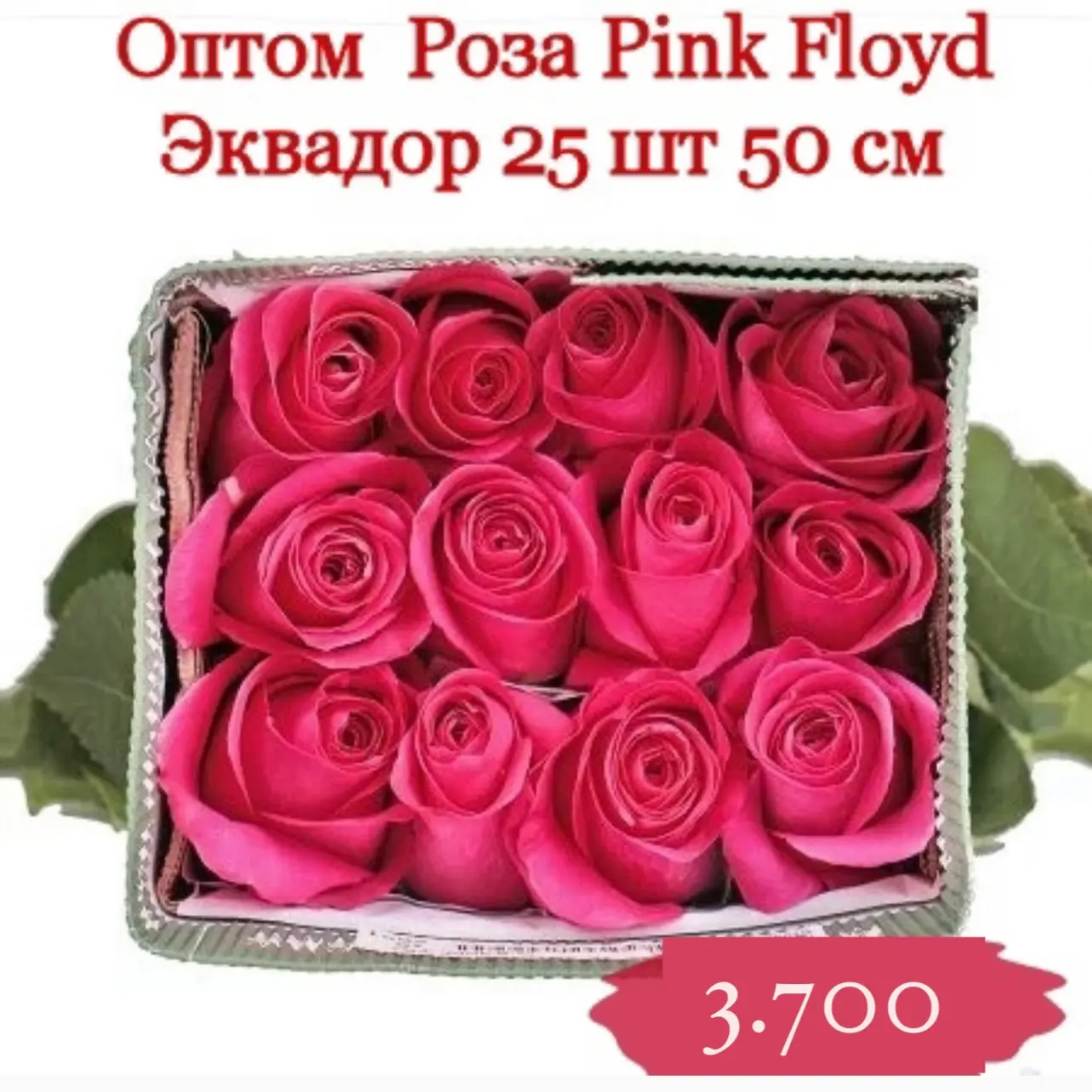 25 розовых роз в банче